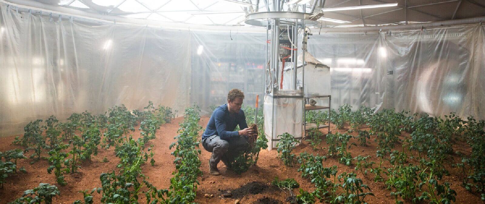 模擬火星環境與土壤 科學家成功種出馬鈴薯